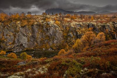 Een fraai Noors landschap in de herfst