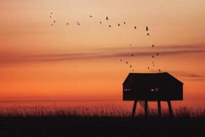 Kiekkaaste aan de Waddenzee