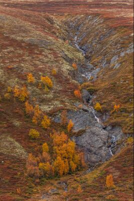 De herfst in de bergen in Noorwegen