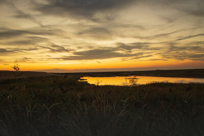 Zonsondergang (gouden uurtje) natuurgebied bij Zierikzee 