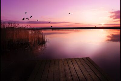Colors of the North 5