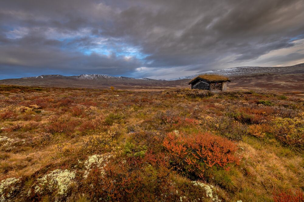 Landschap in Noorwegen in de herfst