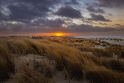 De duinen aan het strand van Texel