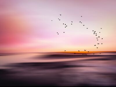 Colors of the North 1