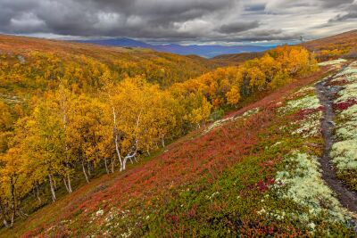 Een berghelling in de herfst met warme kleuren