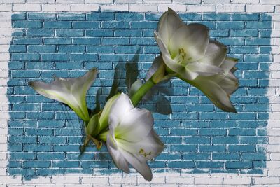 DK 258 – Flowers on a blue wall