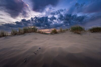 De duinen aan de noordkant van Texel