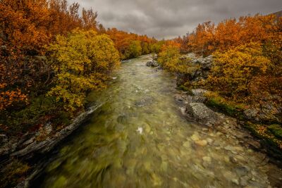 Stromende rivier in de herfst in Noorwegen