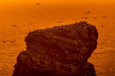 Jan van Genten op hun rots met zonsondergang
