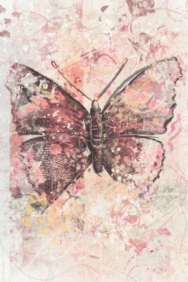 Vlinder in roze tinten