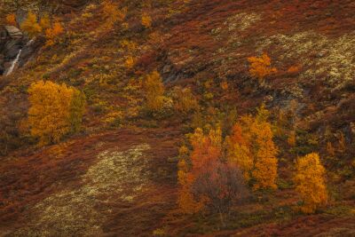 Berglandschap in Noorwegen