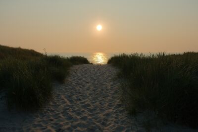 Het pad door de Texelse duinen naar de zonsondergang