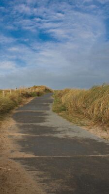 Duinen bij Dishoek