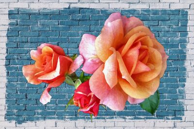 DK 259 – Roses on a blue wall