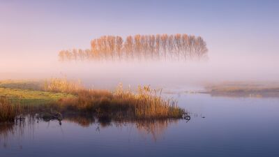 Een sfeervolle ochtend in natuurgebied Tusschenwater Drenthe