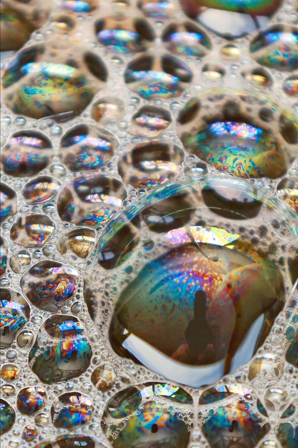 Bubbels