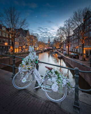 Amsterdam bloemenfiets