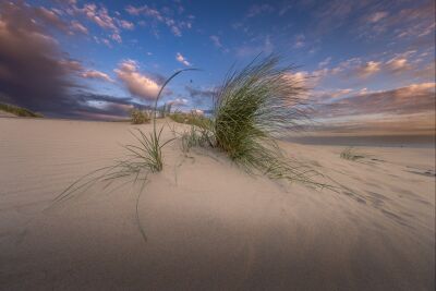 De duinen op Texel