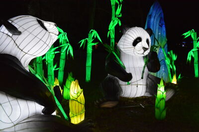 china lights Panda