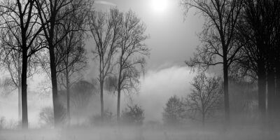 Ochtend mist in de Vlaamse Ardennen in Zwart Wit