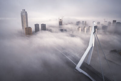 Rotterdam, a misty morning