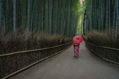Japanese lady in the bamboo forest in Kyoto, Japan