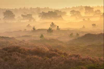 Een schitterende morgen in het Drenthe landschap