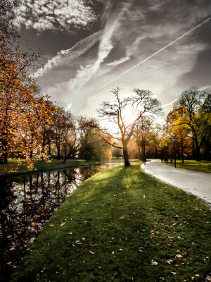 Herfst in het park bij de Euromast Rotterdam