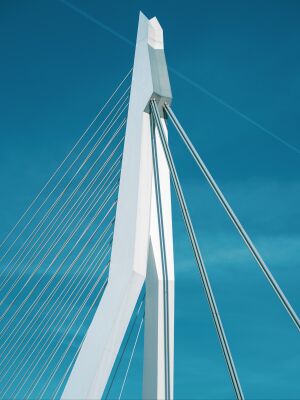 Erasmus Bridge Rotterdam