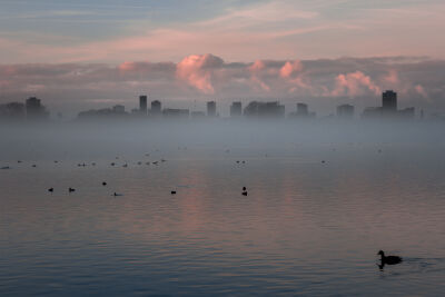 Misty Skyline Rotterdam