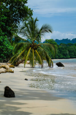 exotisch strand Costa Rica