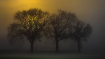 Zonsopkomst in de mist