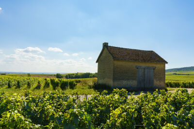 Franse schuur in wijngebied