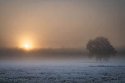 Rising sun over misty fields