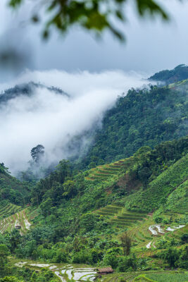 Vietnamese Bergen in de mist