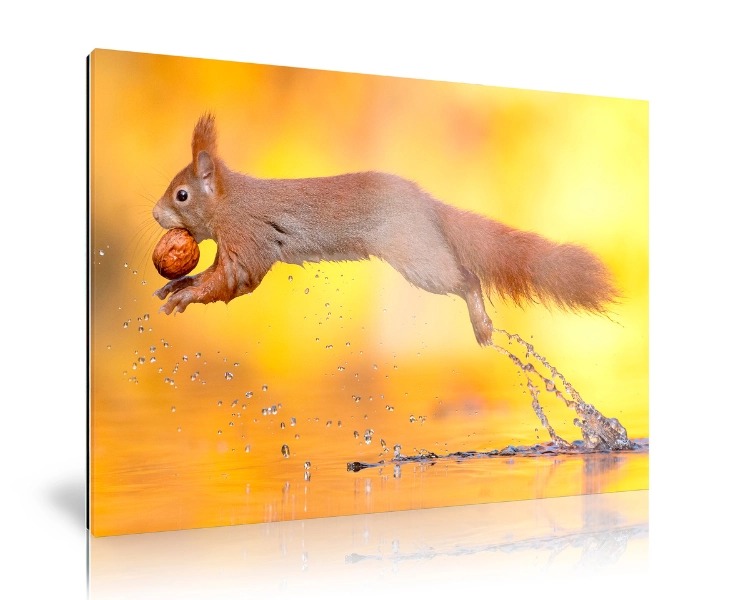 /uploads/2023_12_06_142950_picfee-wall-art-acrylic-glass-matte-prod-photo-for-material-overview.webp