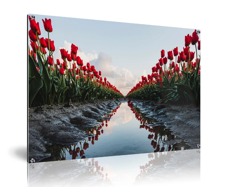 /uploads/2023_12_06_142950_picfee-wall-art-tmetal-direct-prod-photo-for-material-overview.webp