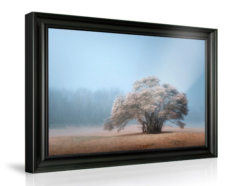 /uploads/2023_12_06_152028_picfee-wall-art-fine-art-dutch-classic-frame-prod-photo-for-material-overview.webp