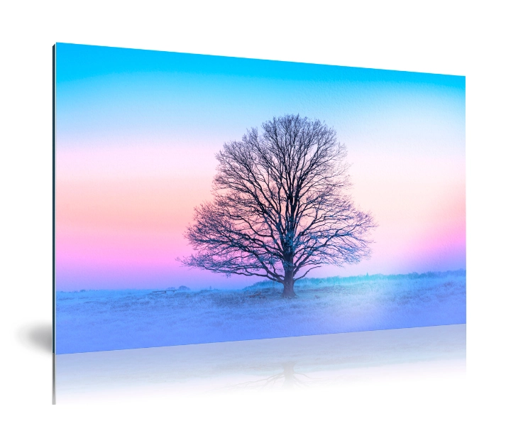 /uploads/2023_12_06_152028_picfee-wanddecoratie-fine-art-op-dibond-hahnemuhle-baryta-1.webp