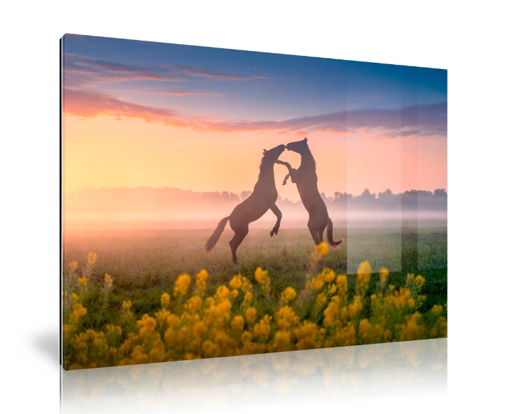 2024_08_15_135753_Picfeewallart-Acrylicglassglossy-prodphotoformaterialoverview(1).webp
