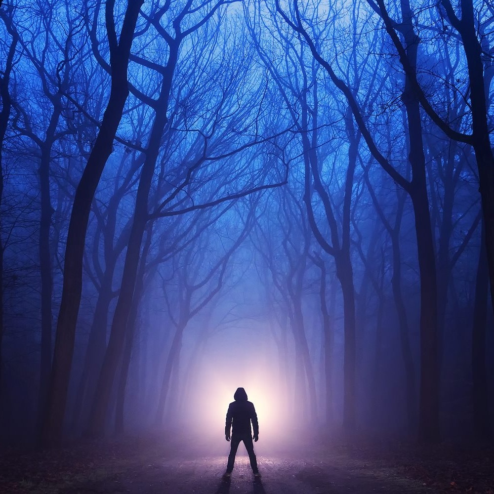 /uploads/2025_02_03_190046_MartinpodtprofielfotoPicfee.jpeg